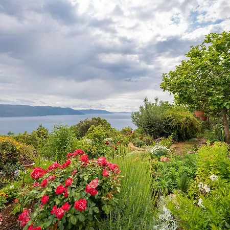 Gostinjska kuća Paradiso In - Istrien Plomin