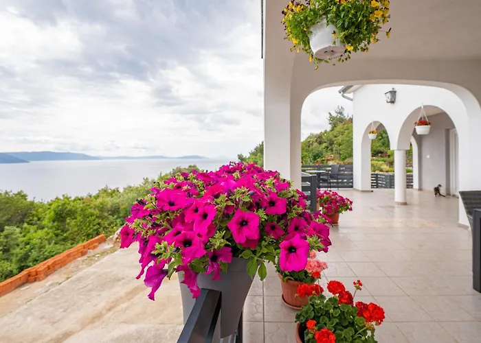 Paradiso In - Istrien Gostinjska kuća 3*