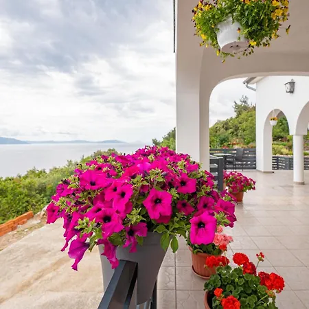 Paradiso In - Istrien Penzion 3*